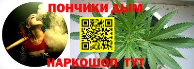 молекула духа Будённовск