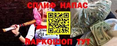 молекула духа Будённовск