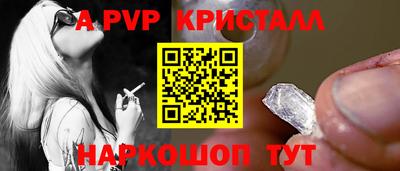 молекула духа Будённовск